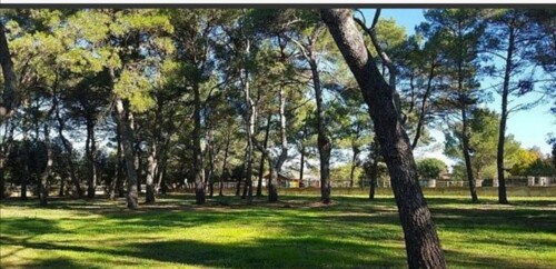 Rovinj, građevinsko zemljište 12058 m2