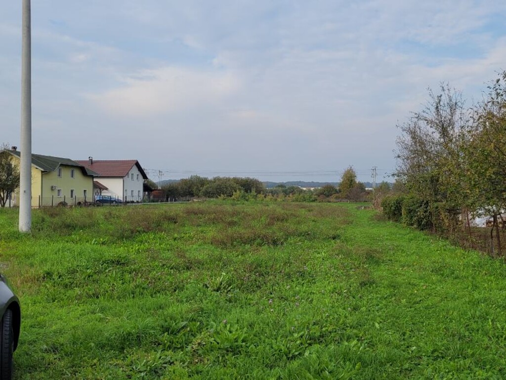 Image 5621613 - 1