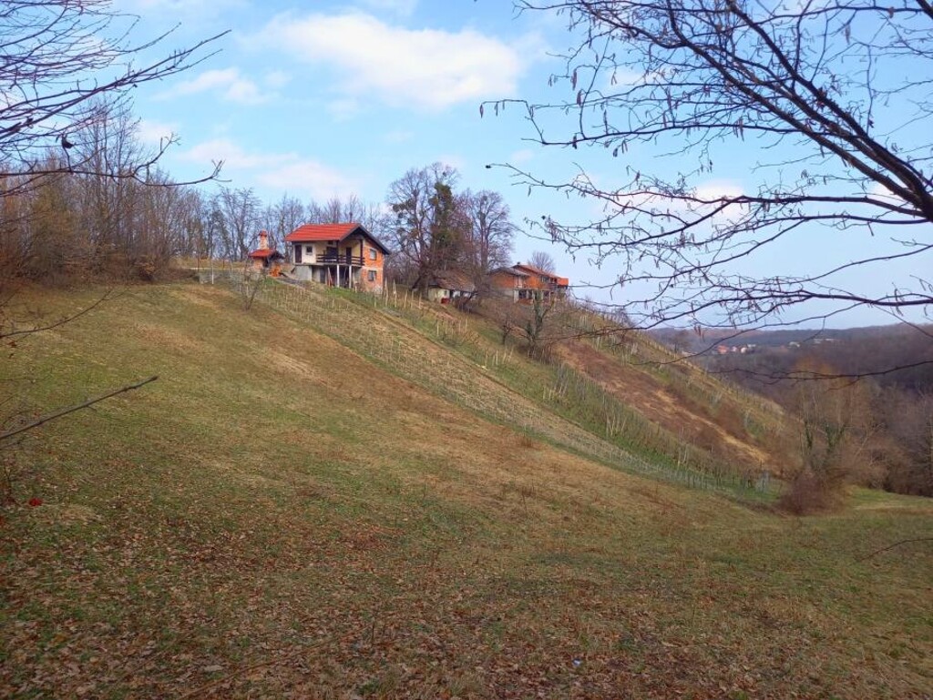 Image 5621628 - 1