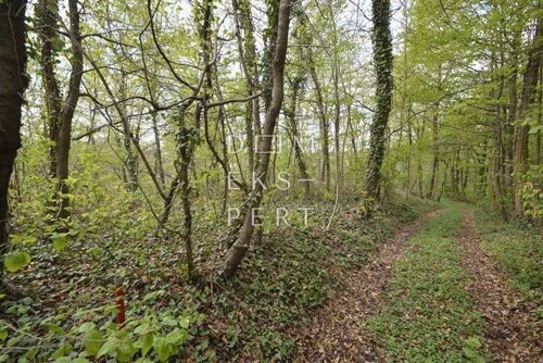 Oporovec, Šuma, površine 920 m2 u Gornjoj Dubravi - 19000 €