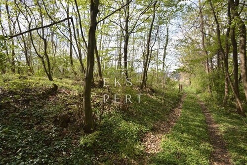 Oporovec, Šuma, površine 920 m2 u Gornjoj Dubravi - 19000 €