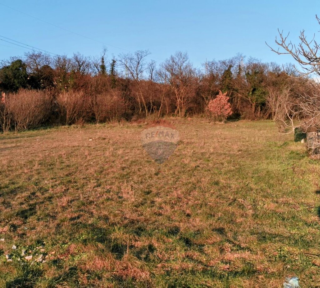 Image 5622615 - 3