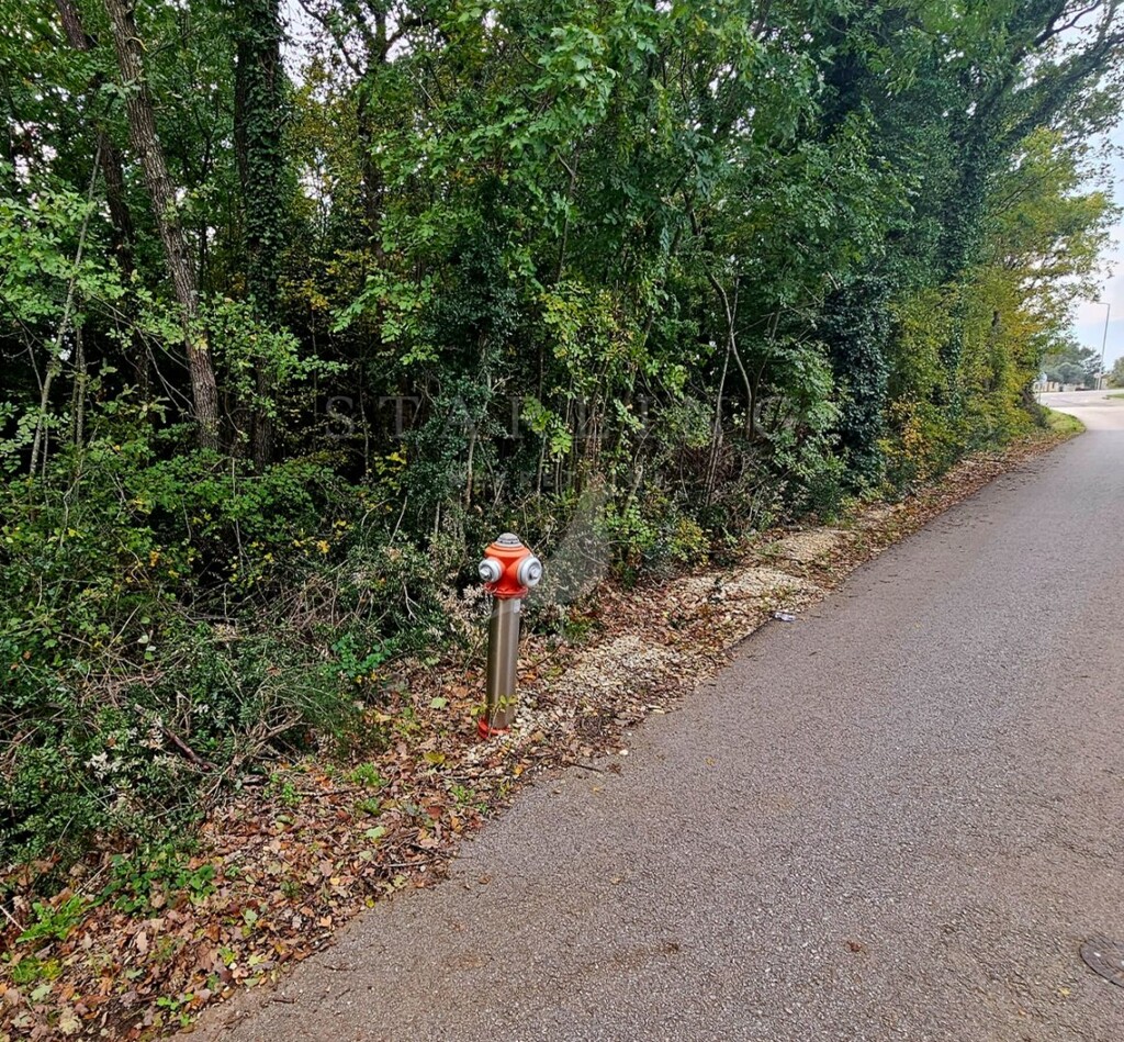 Image 5623367 - 2