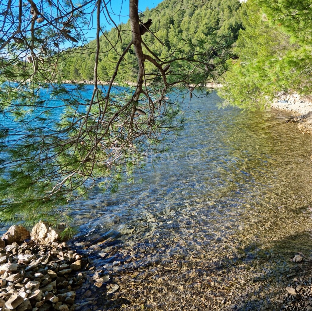 Image 5623424 - 3