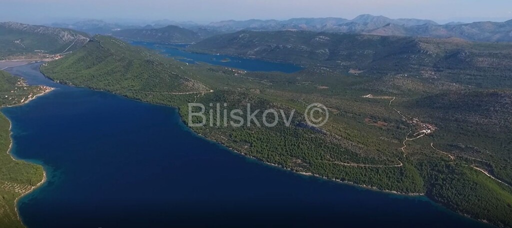 Image 5623424 - 5