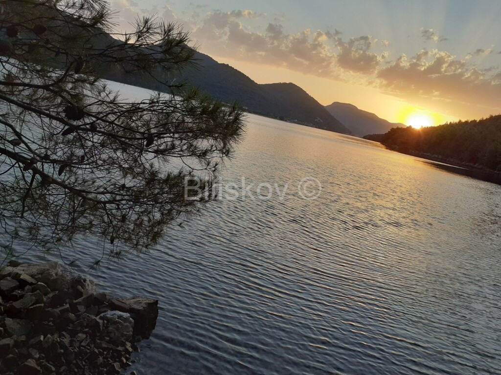 Image 5623424 - 2