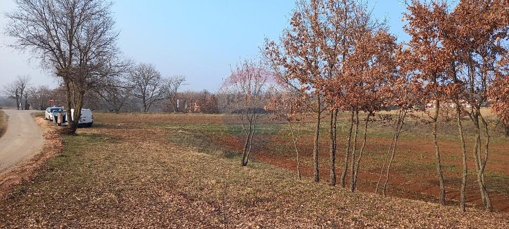 Image 5626884 - 7