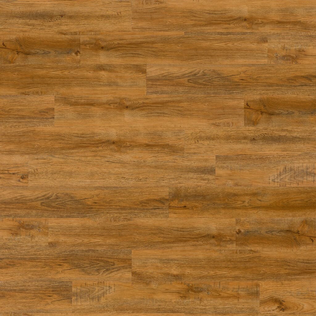 Image 5627345 - 1