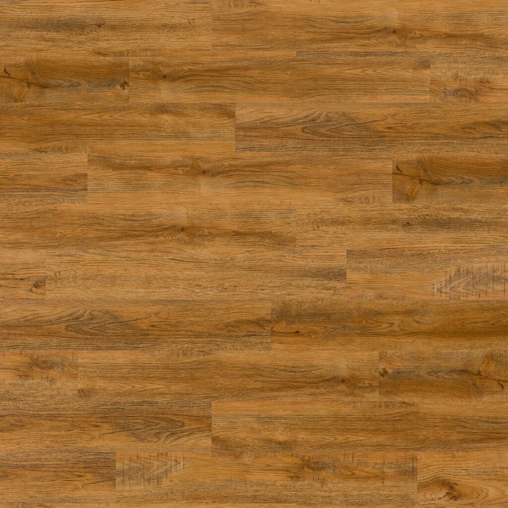 Image 5633711 - 1