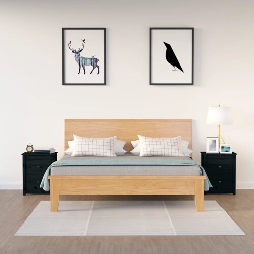 vidaXL Noćni ormarići 2 kom crni 50 x 35 x 61,5 cm od masivne borovine