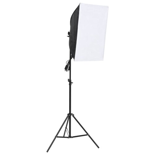 vidaXL Profesionalno studijsko svjetlo 60 x 40 cm