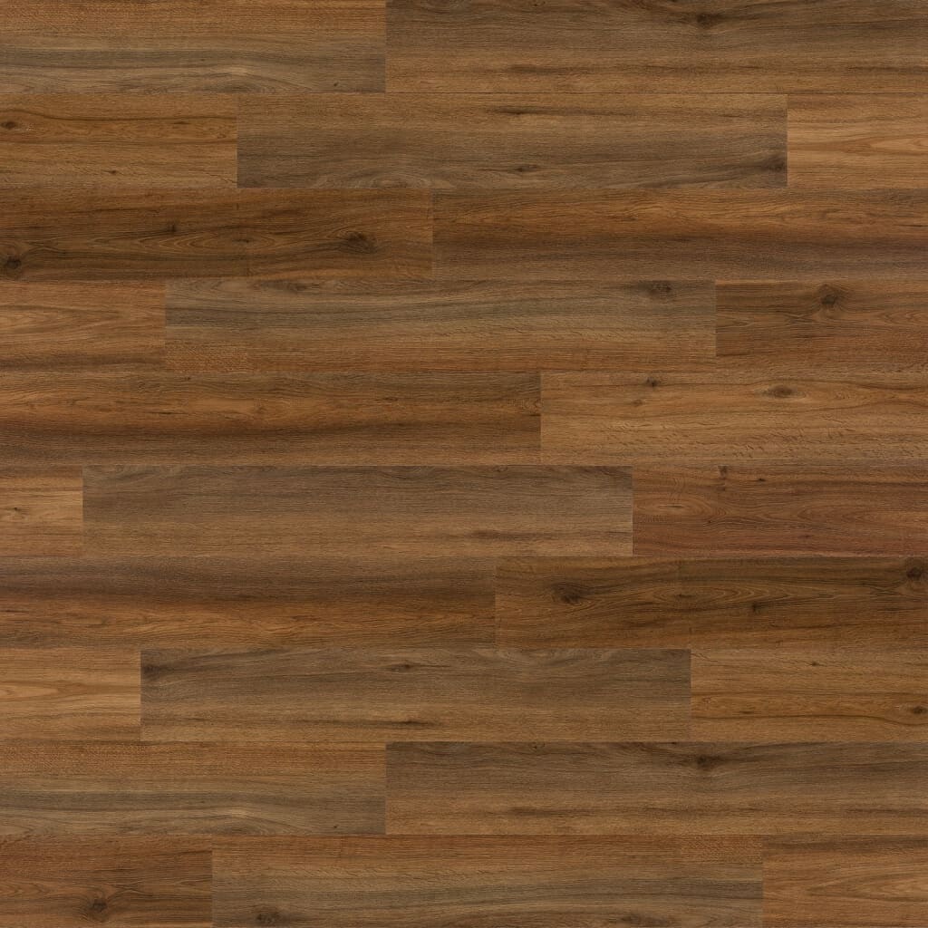 Image 5651710 - 1