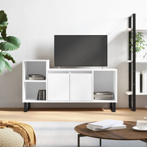 vidaXL TV ormarić bijeli 100 x 35 x 55 cm od konstruiranog drva