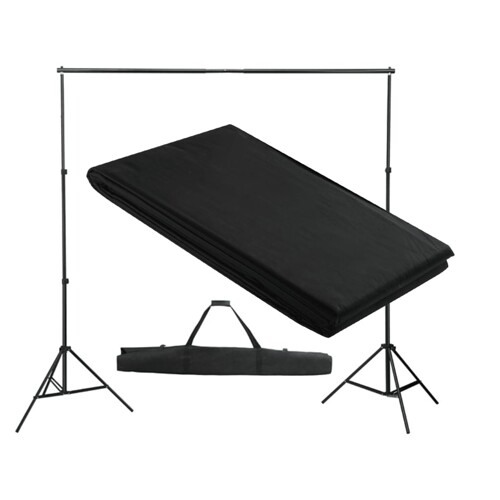 vidaXL Pozadinski sustav s potporom 300 x 300 cm crni