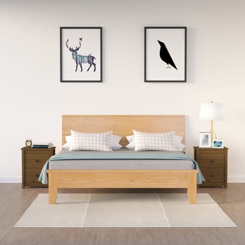 vidaXL Noćni ormarići 2 kom boja meda 50x35x61,5 cm od borovine