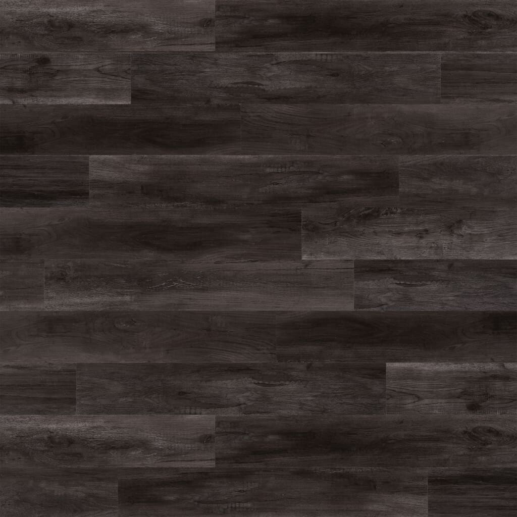 Image 5682206 - 1