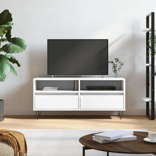 vidaXL TV ormarić bijeli 100 x 34,5 x 44,5 cm od konstruiranog drva