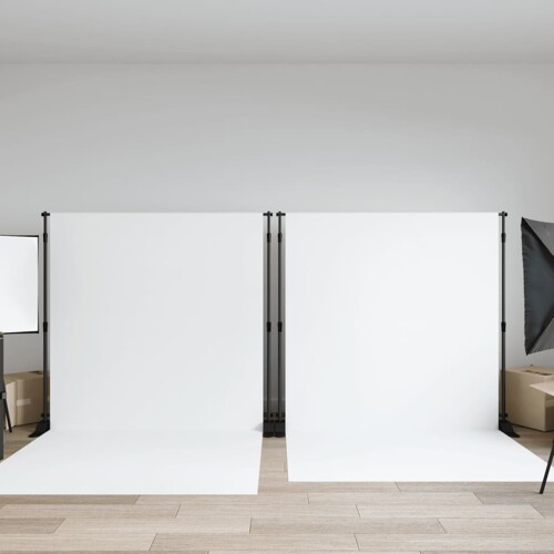 vidaXL Stalci za pozadinu 2 kom crni 254 x 243 cm čelični