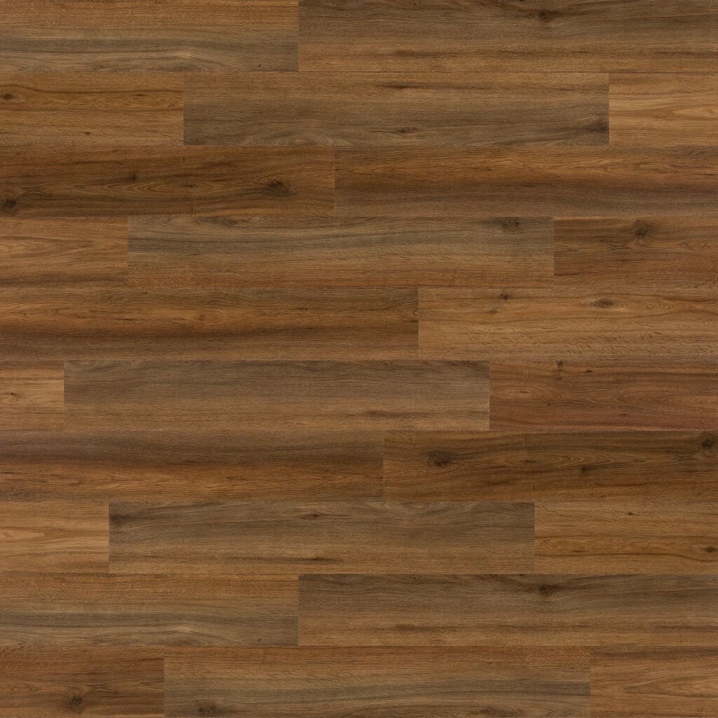 Image 5707094 - 1