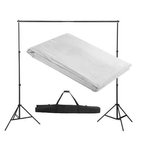 vidaXL Pozadinski sustav s potporom 300 x 300 cm bijeli