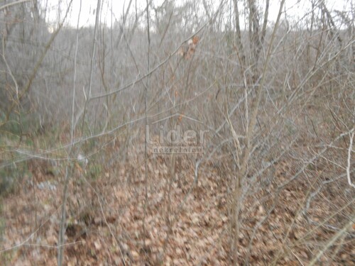 Thumbnail 5726692 - 5