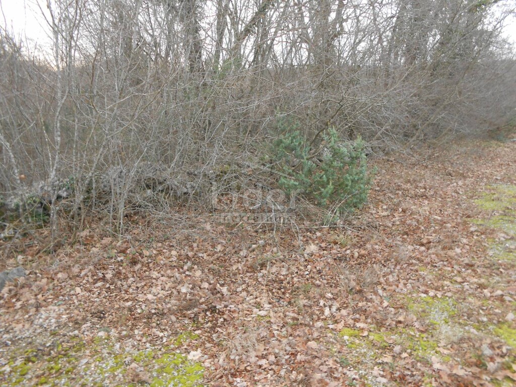 Image 5726692 - 6