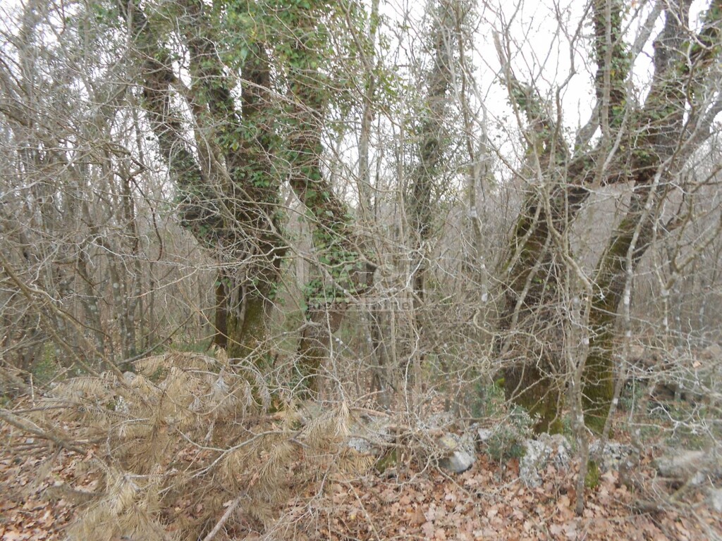 Image 5726692 - 1