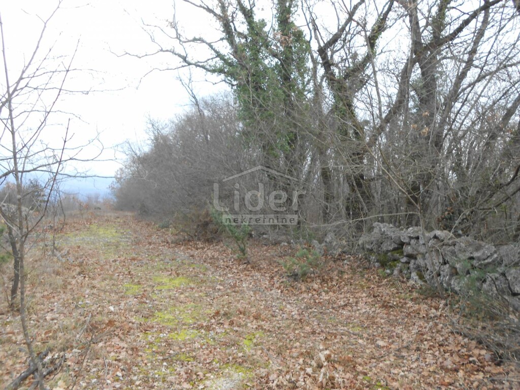 Image 5726692 - 7