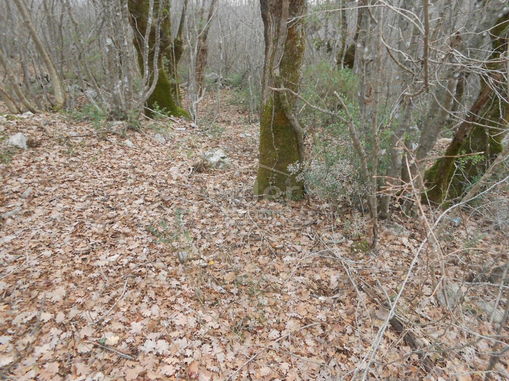 Image 5726692 - 4