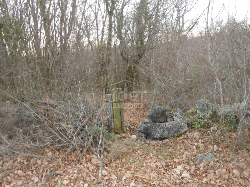 Image 5726692 - 3