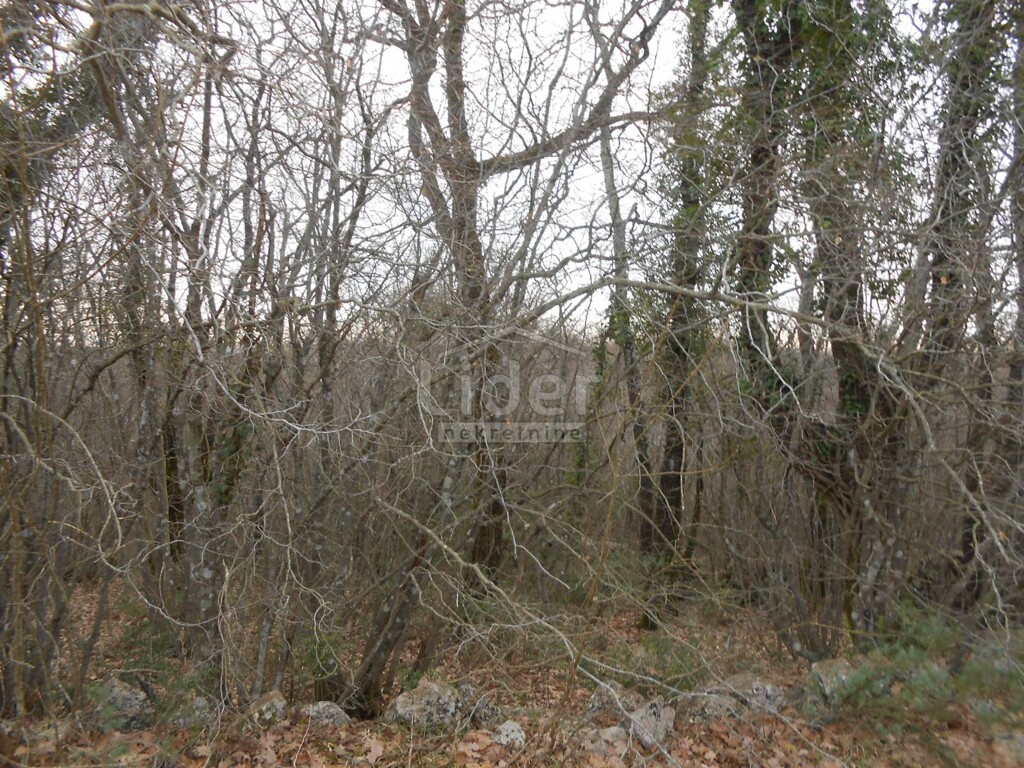 Image 5726692 - 2
