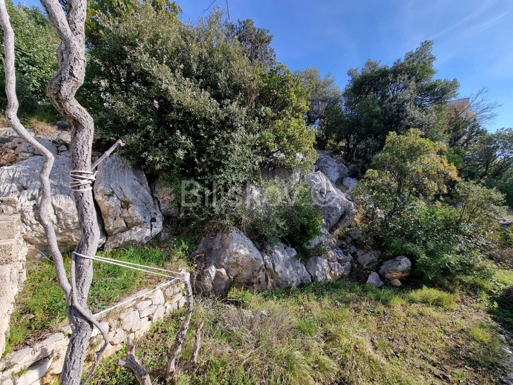 Image 5728378 - 6