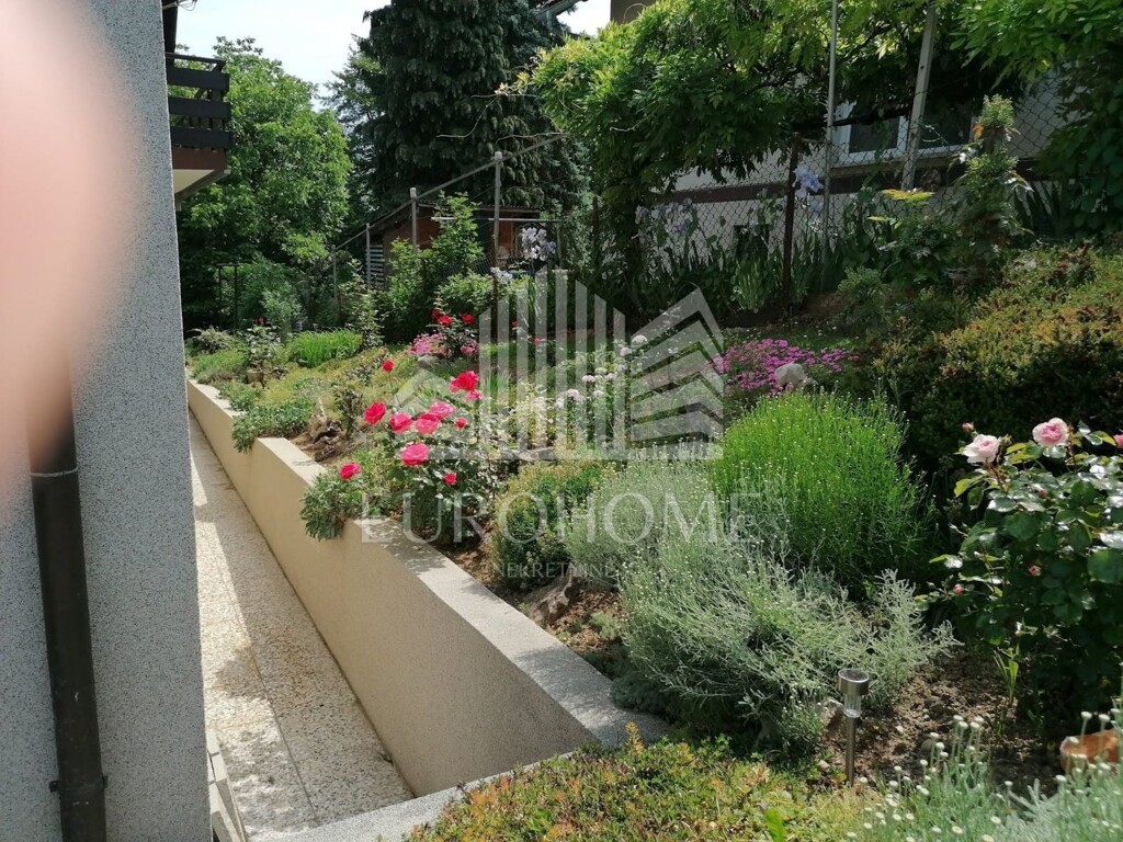 Image 5731121 - 4