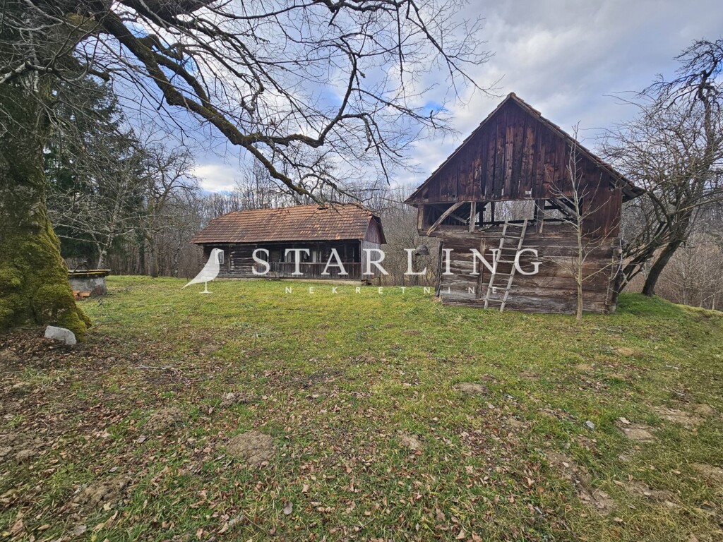 Image 5731208 - 1