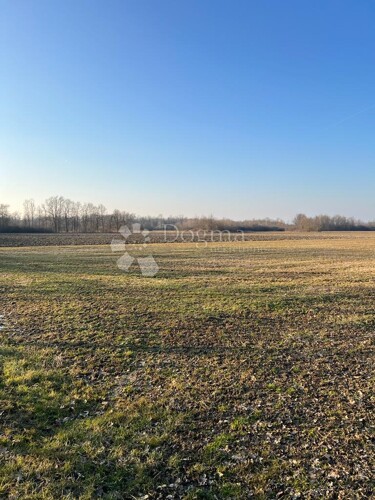 Thumbnail 5733939 - 1