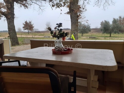 Thumbnail 5734043 - 4