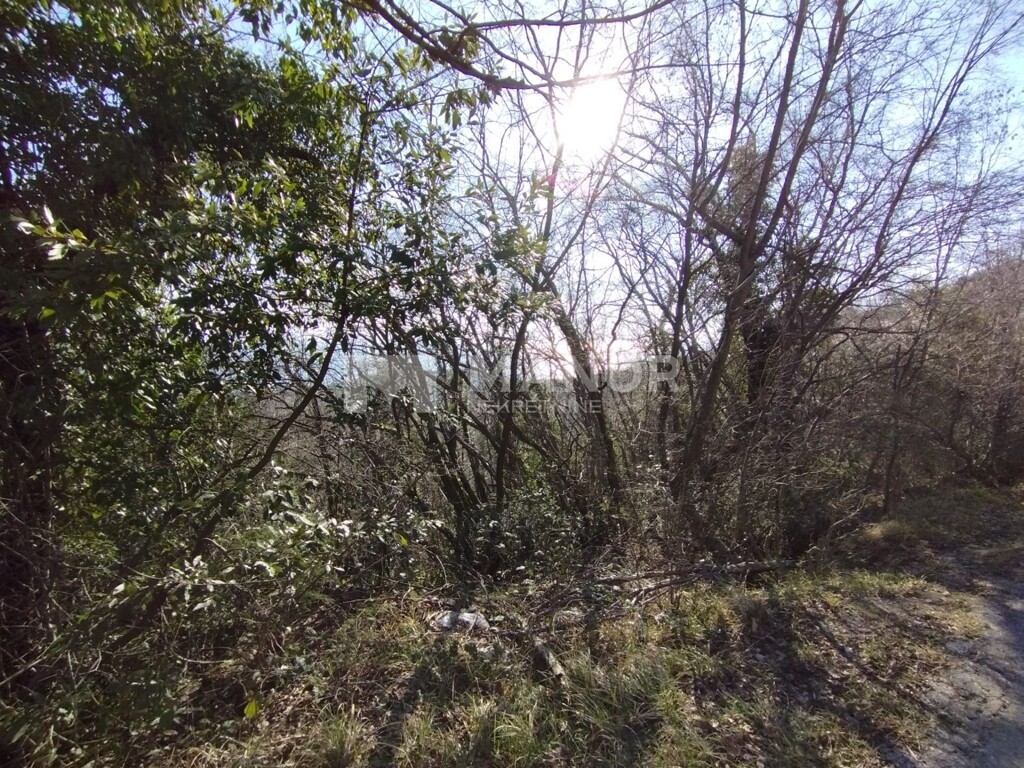 Image 5734146 - 5
