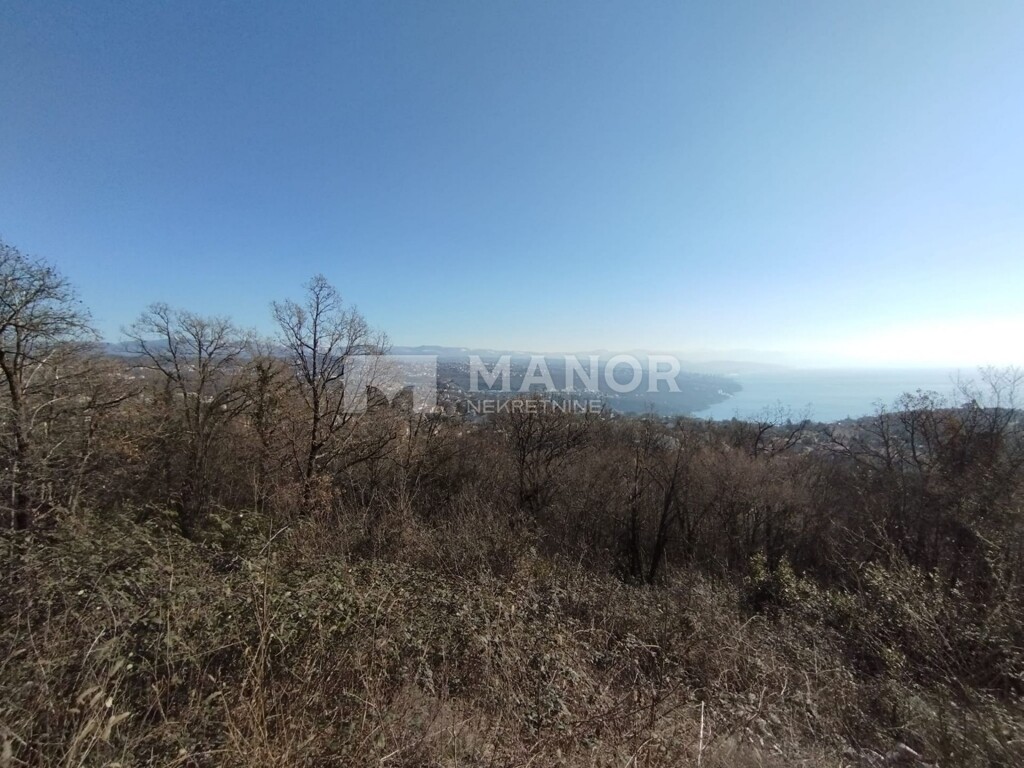 Image 5734146 - 3