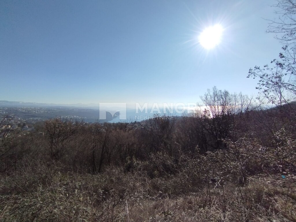 Image 5734146 - 4