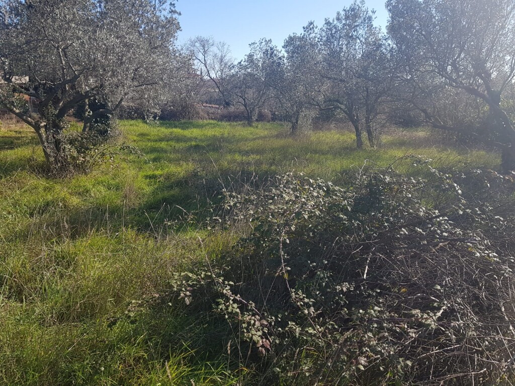 Image 5736862 - 2