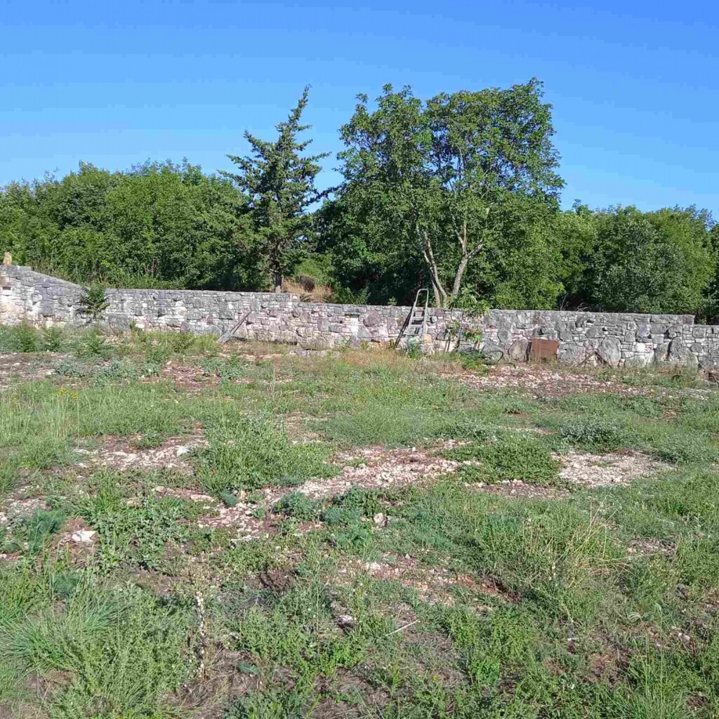 Image 5736863 - 5