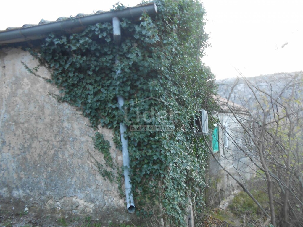 Image 5738975 - 5
