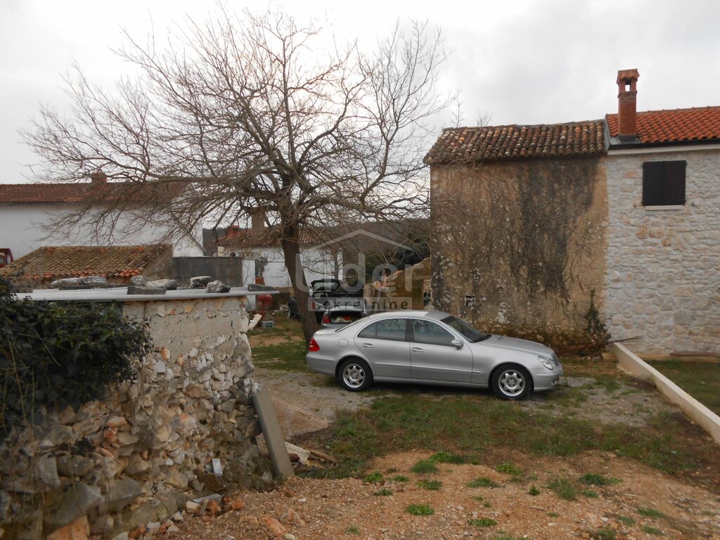Image 5738977 - 2