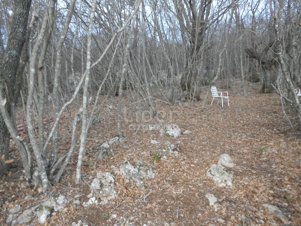 Image 5738978 - 9