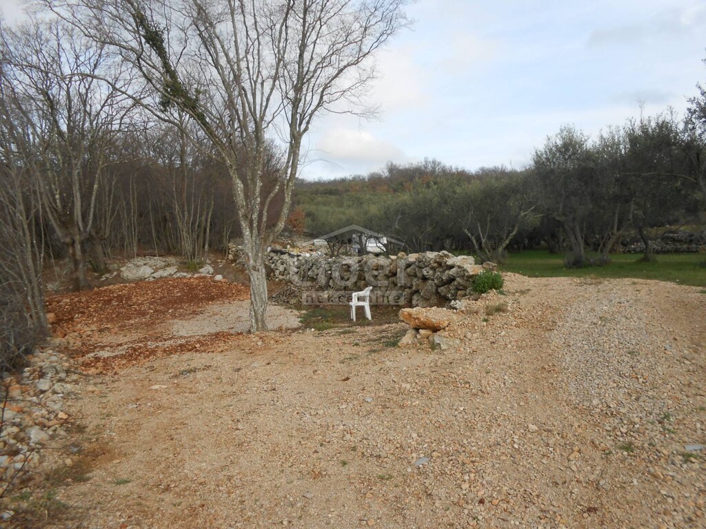 Image 5738978 - 6