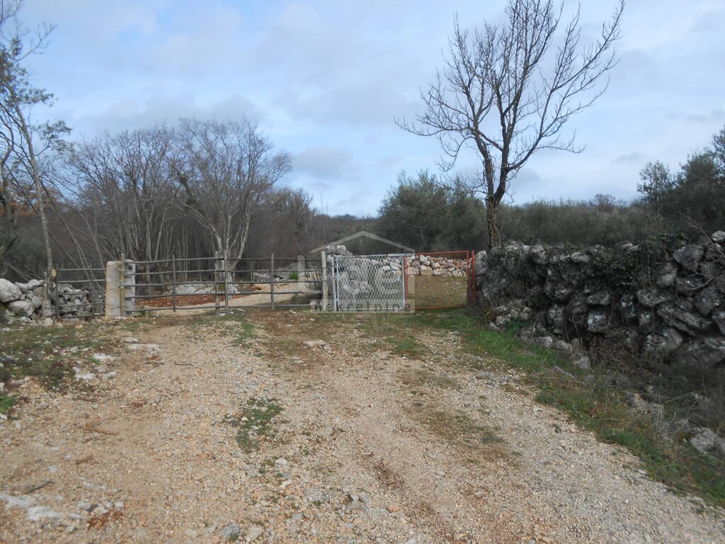 Image 5738978 - 4