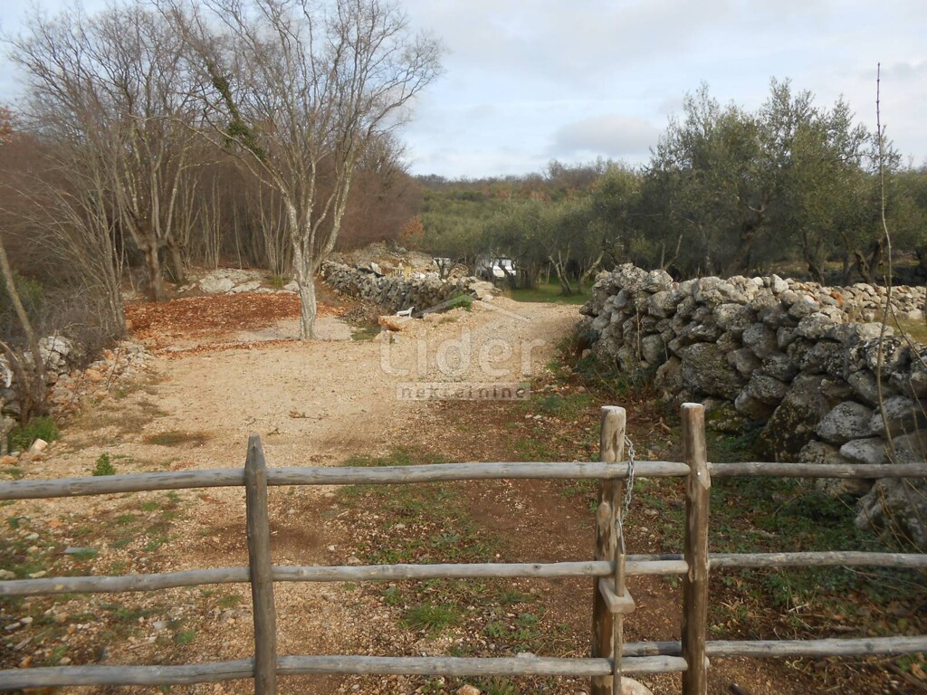 Image 5738978 - 3