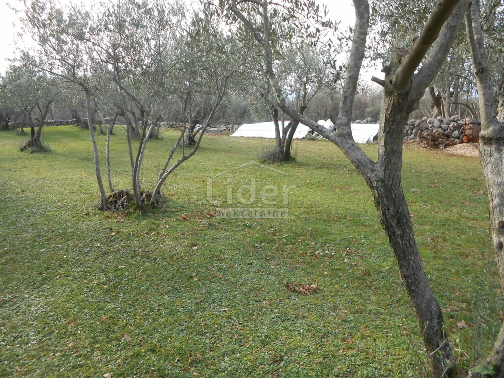 Image 5738978 - 1