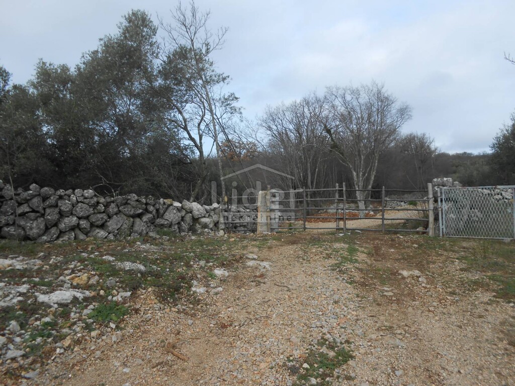 Image 5738978 - 5