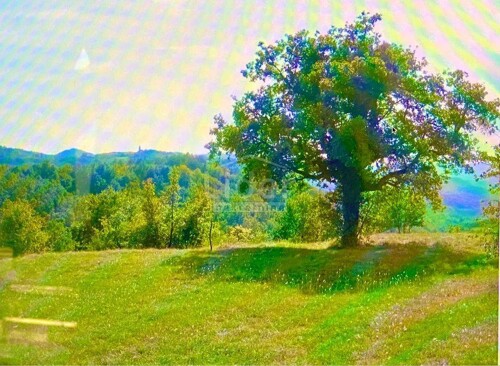 Thumbnail 5738979 - 5